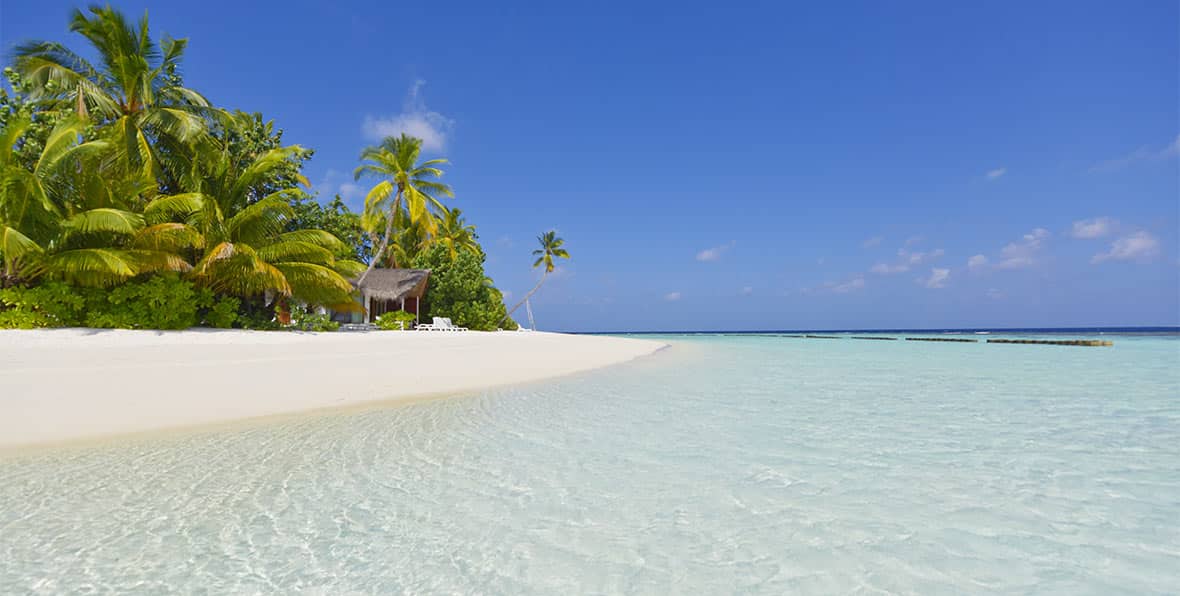 playa en Safari Island Resort & Spa Maldives