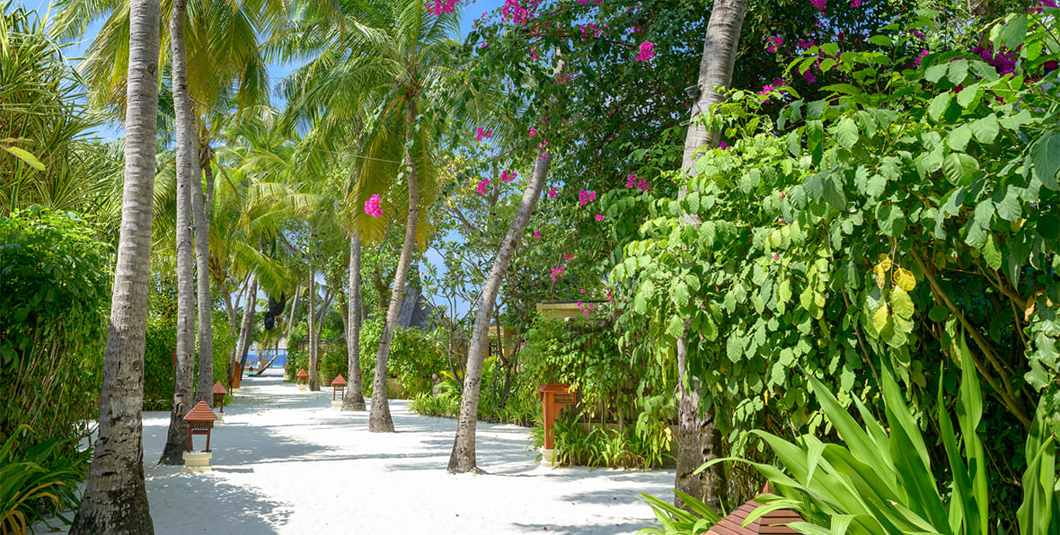 Banyan Tree Vabbinfaru Maldives Resort - arenatours.com