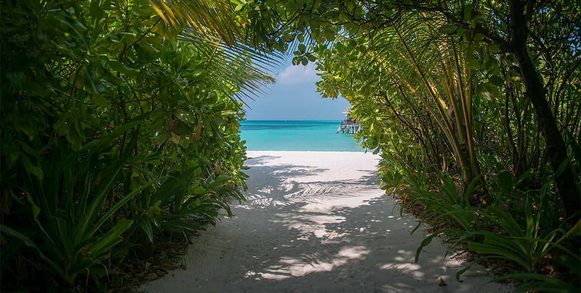 Coco Palm Dhuni Kolhu Maldives Resort - arenatours.com