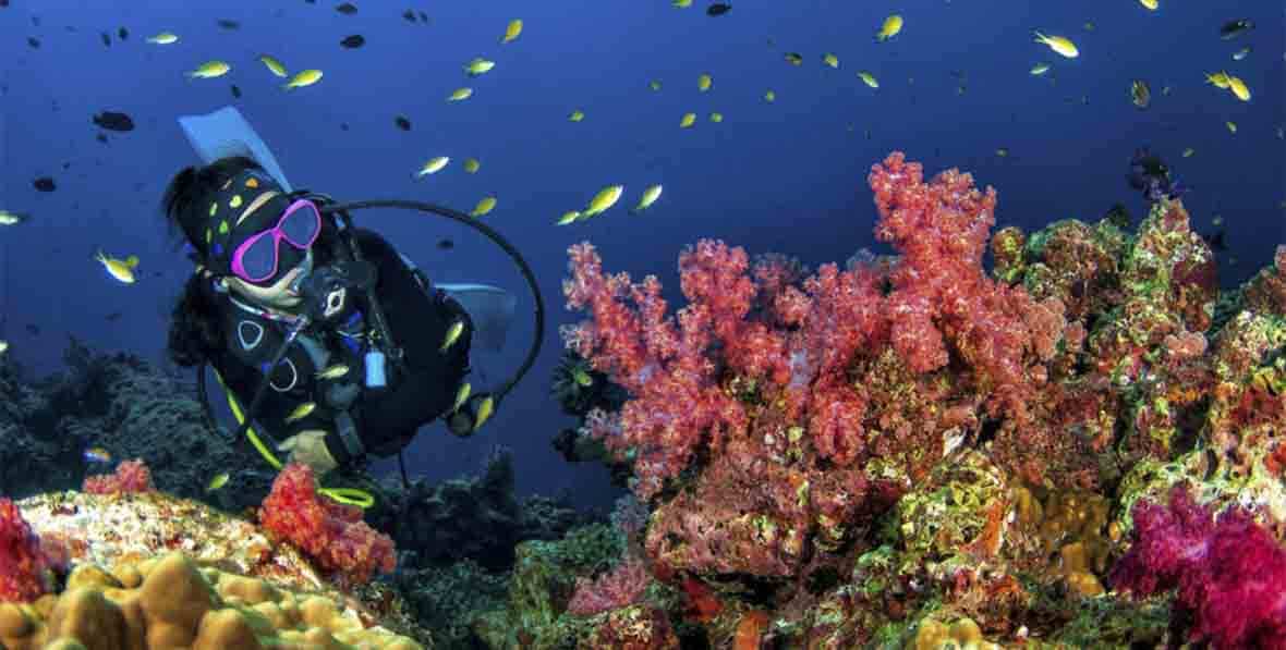 Kihaa Maldives Resort Diving - arenatours.com