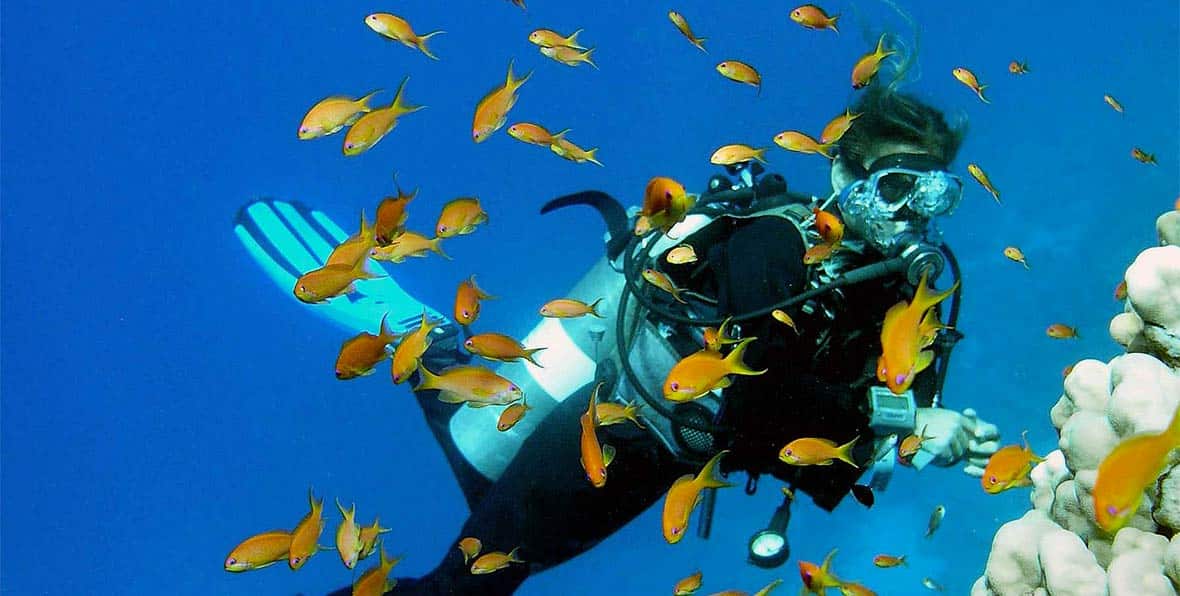 Maafushivaru Diving - arenatours.com