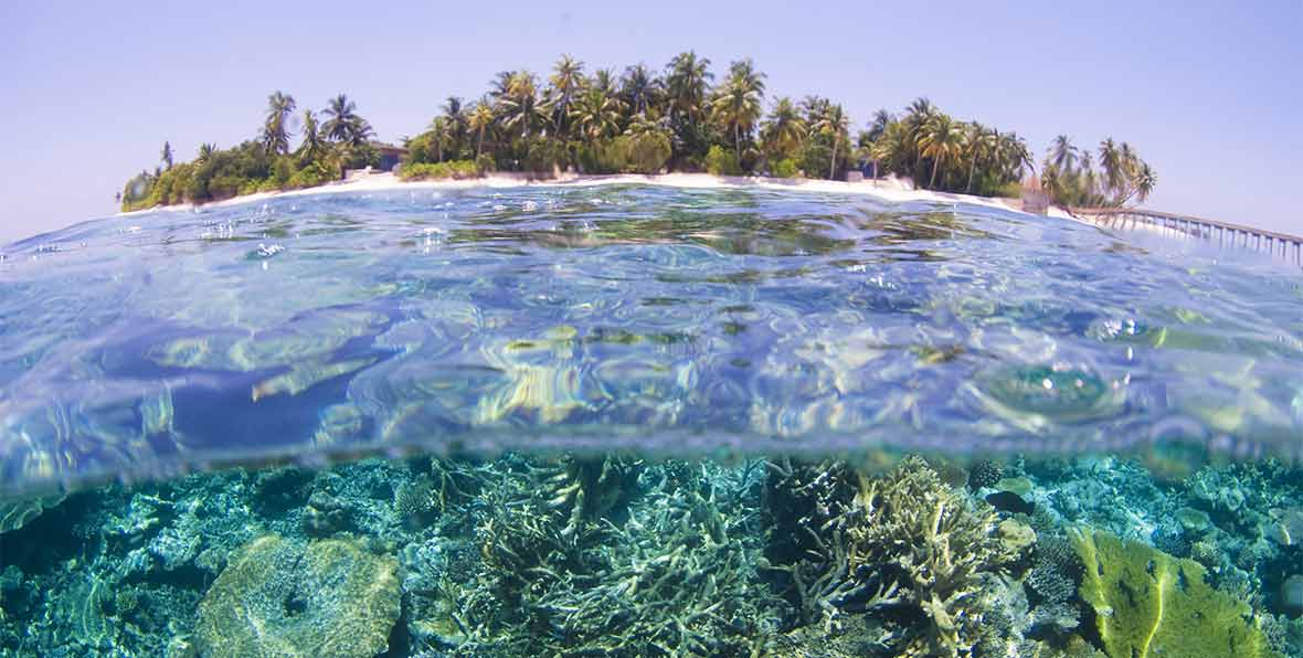 Park Hyatt Maldives Hadahaa - arenatours.com