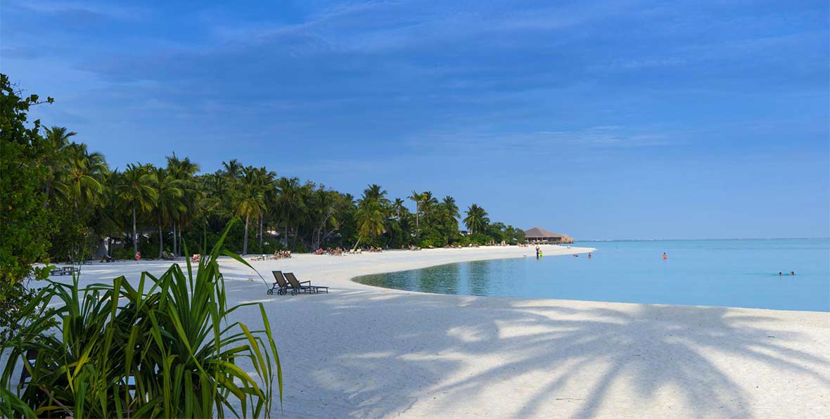 Cocoon Maldives playa y vegetación tropical