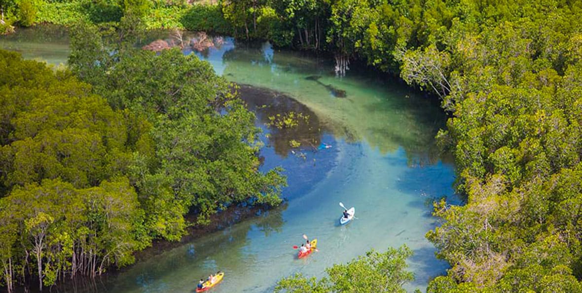 Ephelia Seychelles Kayak Group Incentive Activity - arenatours.com