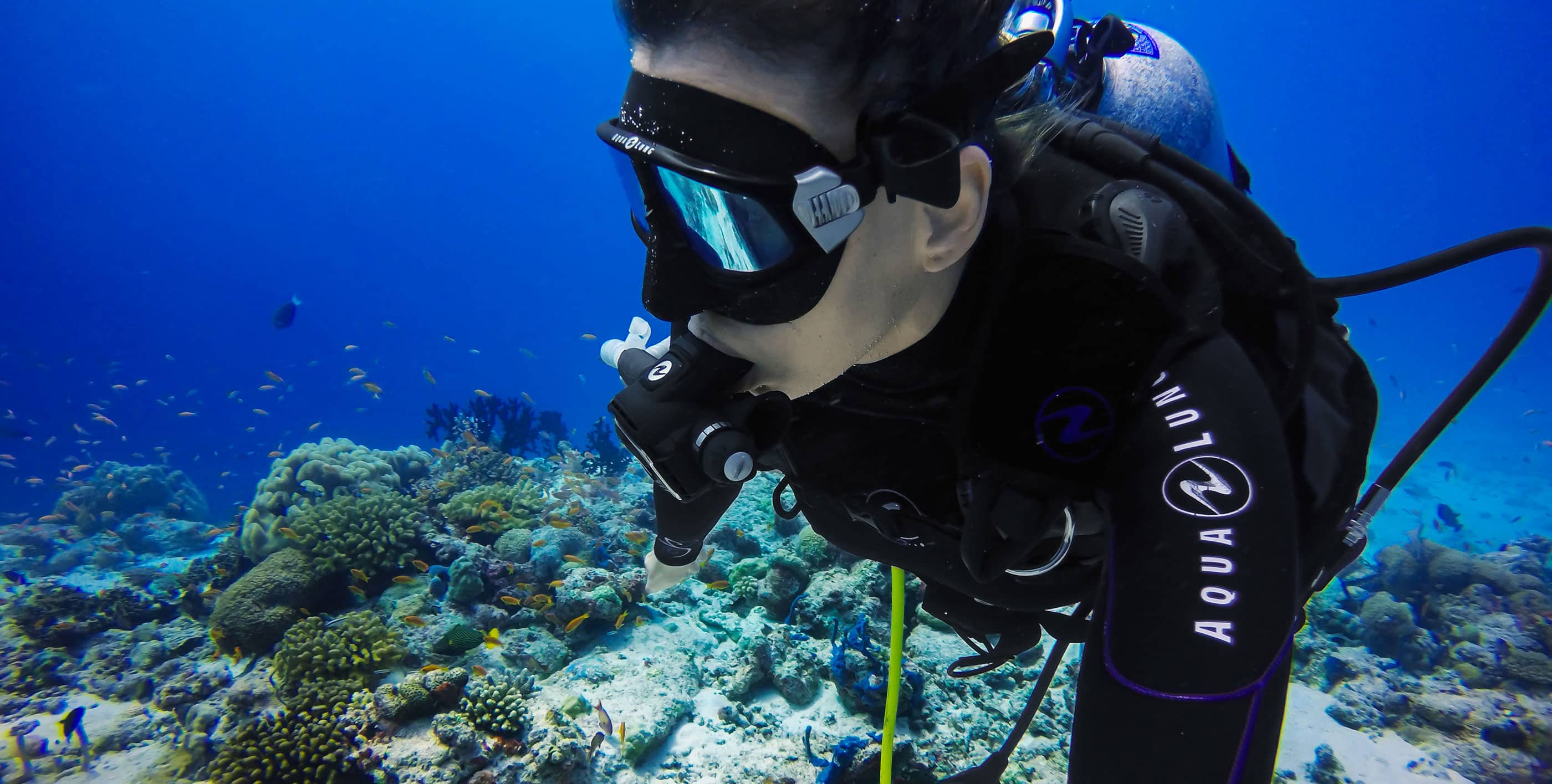 Diving in the Seychelles