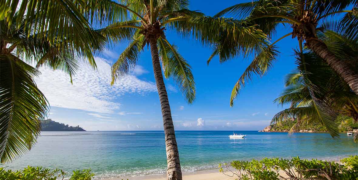 palmeras y playa en Kempinski Seychelles