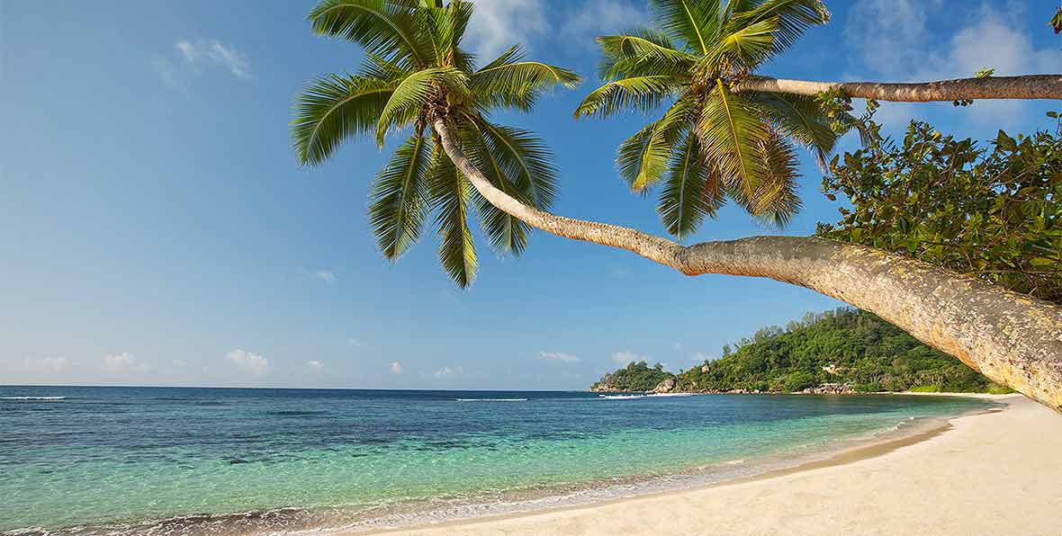 playa y palmeras en Kempinski Seychelles