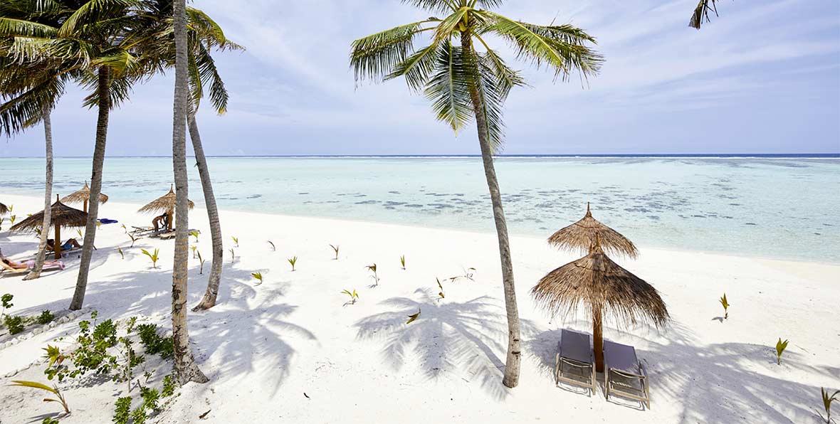 palmeras, sombrillas y playa en Riu Atoll Maldives