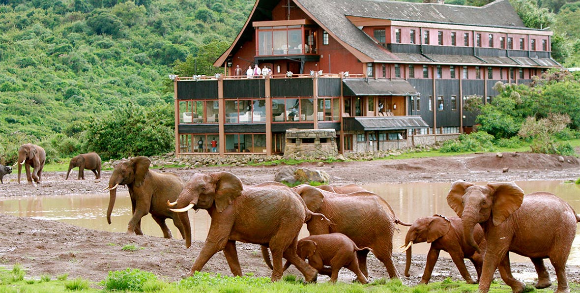 The Ark Lodge Aberdare National Park Kenia - arenatours.com