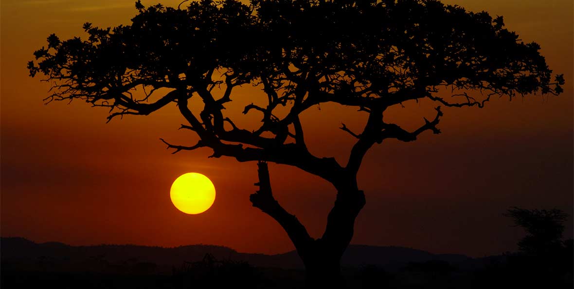 Viajes Africa Tanzania Serengeti Sunset - arenatours.com