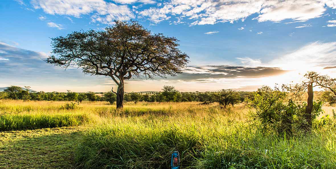 Angata Serengeti Camp Tanzania - arenatours.com