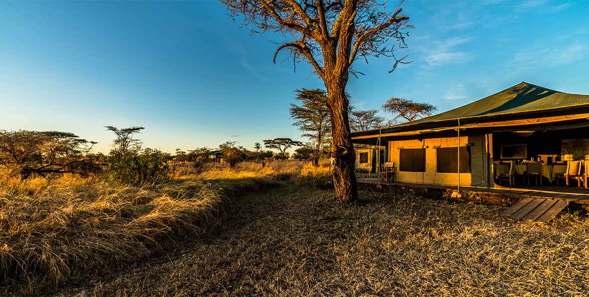 Angata Serengeti Camp Tanzania - arenatours.com