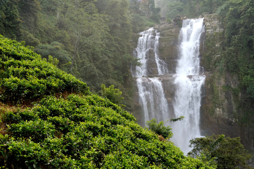 hermosa cascada ramboda isla sri lanka