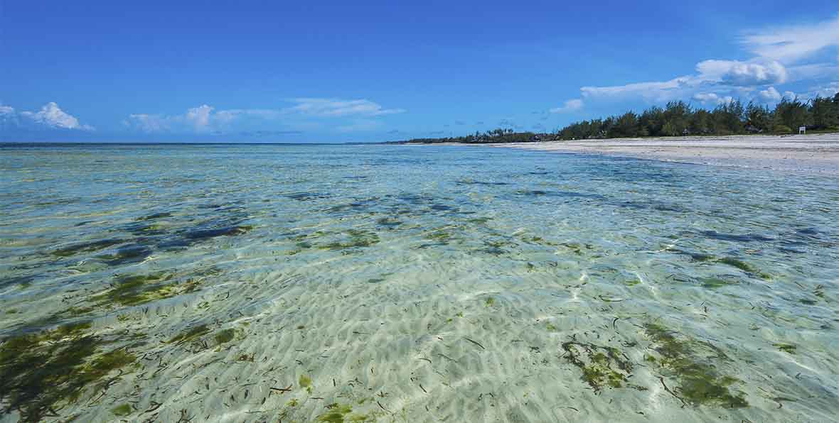 Zanzibar White Sand Luxury Villa Spa - arenatours.com