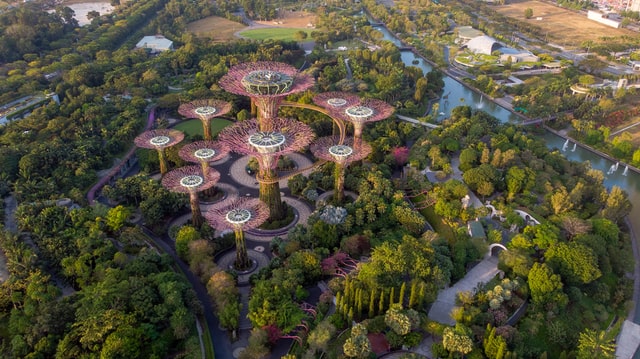 qué ver en Singapur jardines por la bahía