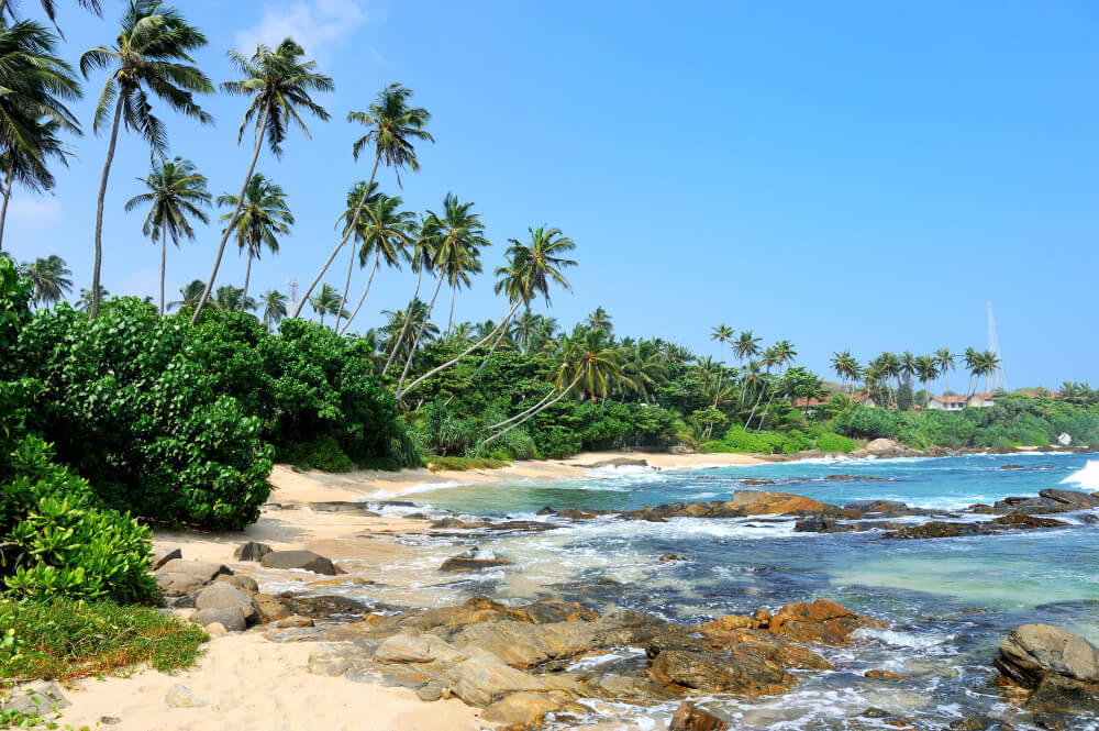 Playa tropical con palmeras en sri lanka