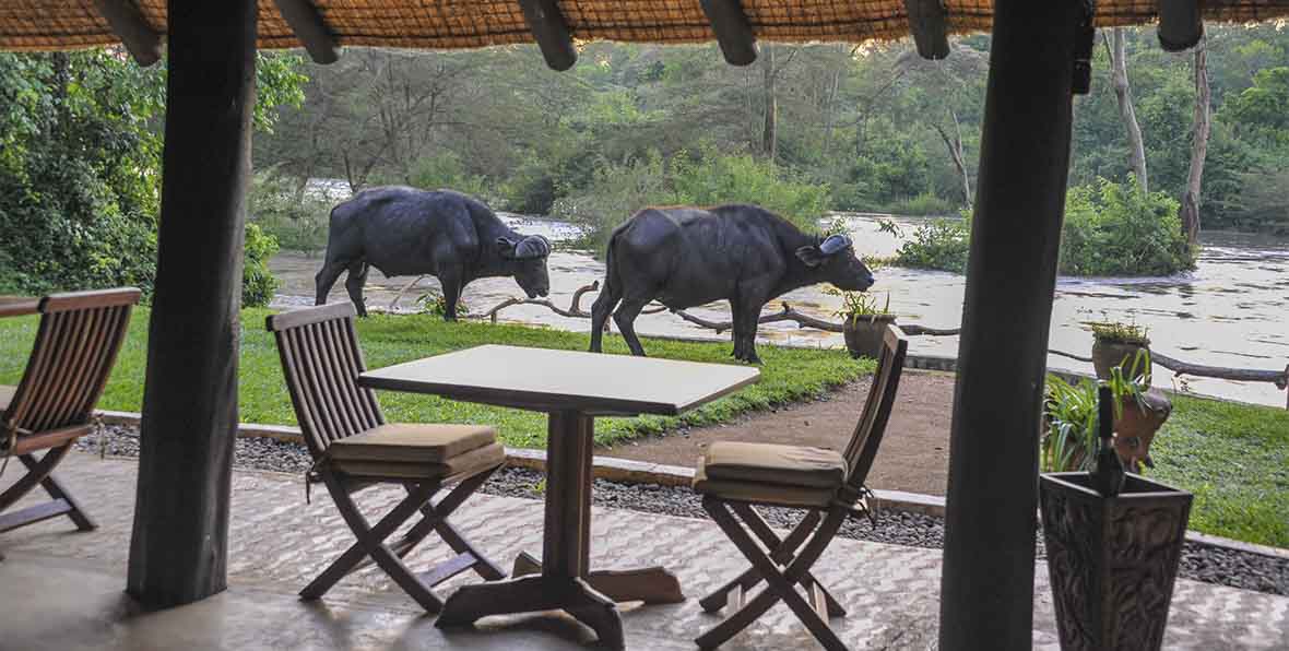 Ishasha Wilderness Camp Queen Elizabeth National Park - arenastours.com -