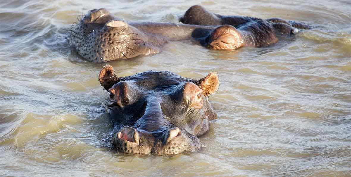 Kazinga Canal Cruise