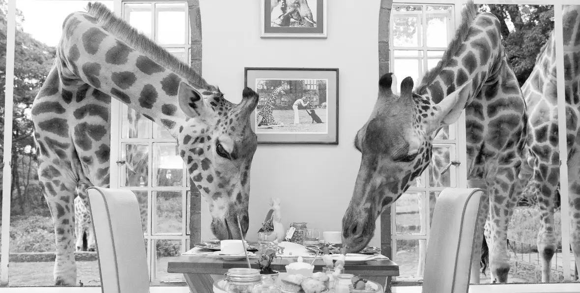 Giraffe Manor - arenatours.com -