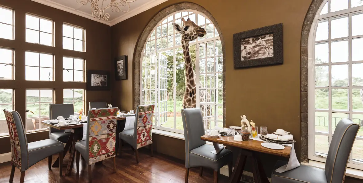 Giraffe Manor - arenatours.com -