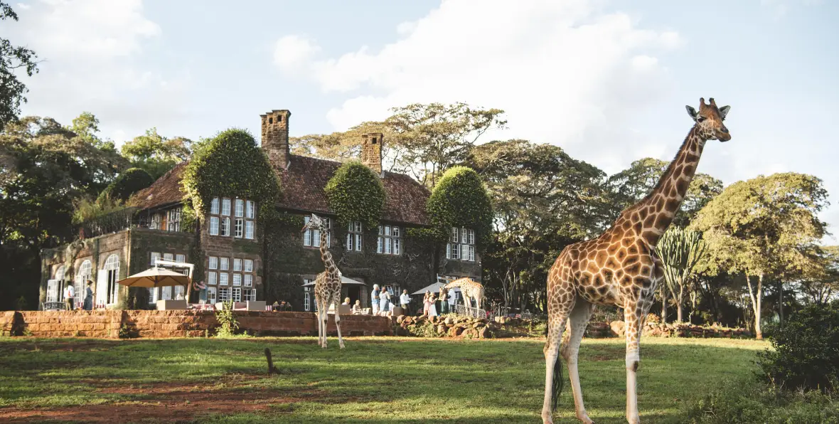 Giraffe Manor - arenatours.com -