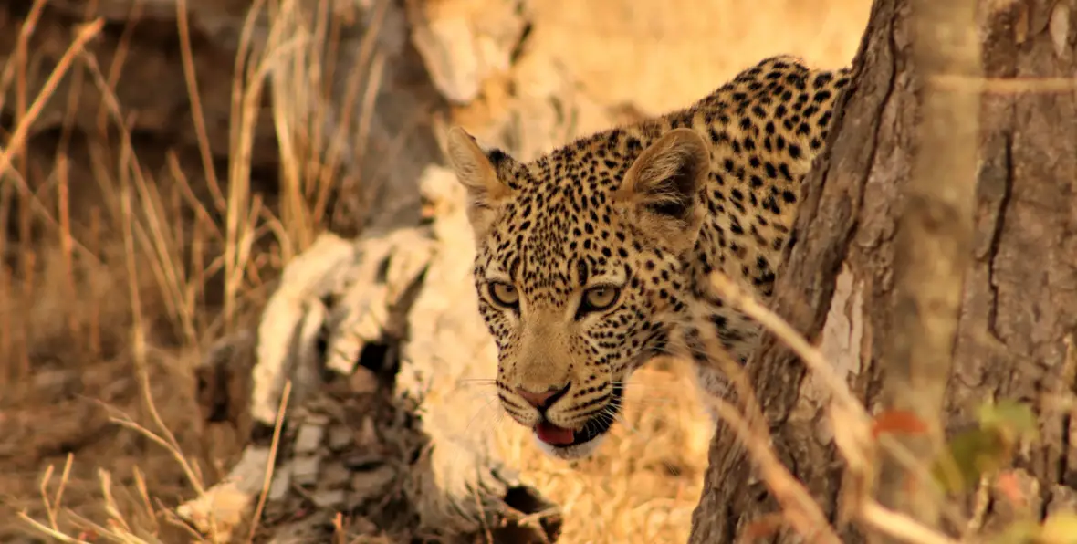 Sudafrica Lukimbi Lodge - arenatours.com -