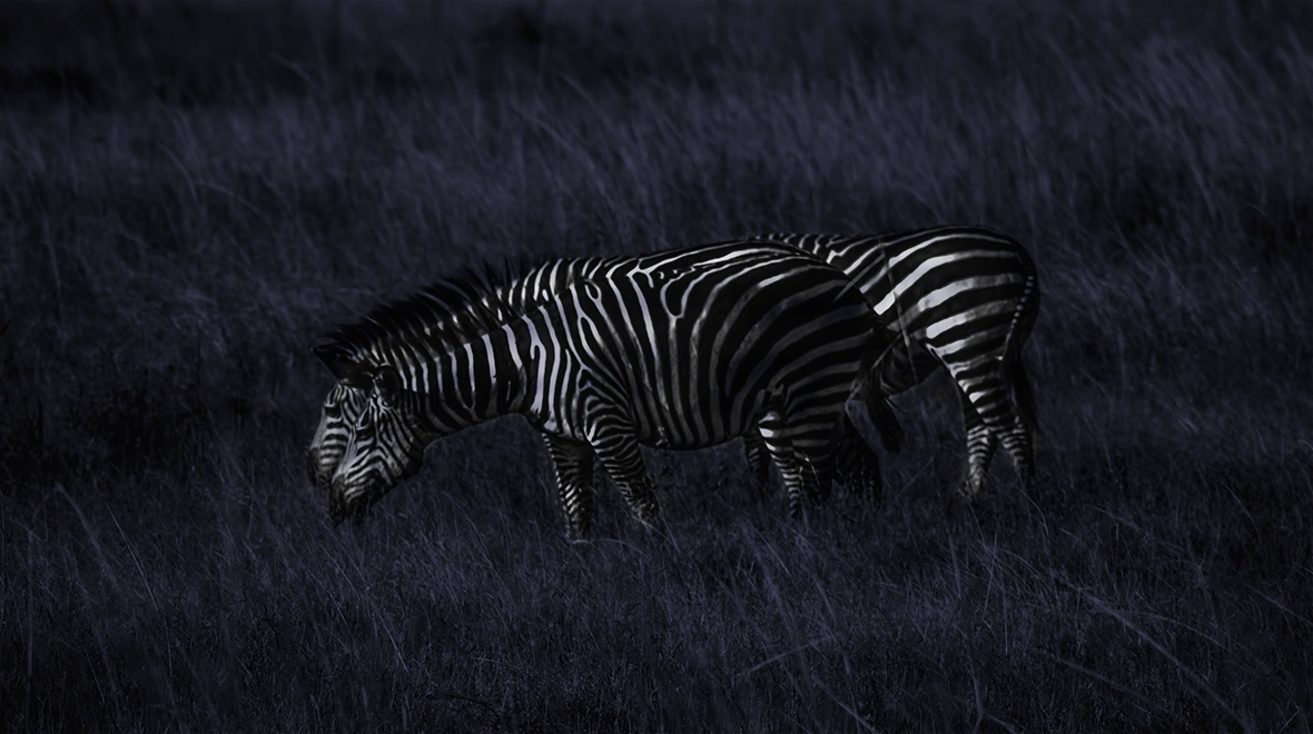 Safari noturno nas colinas de Grumeti