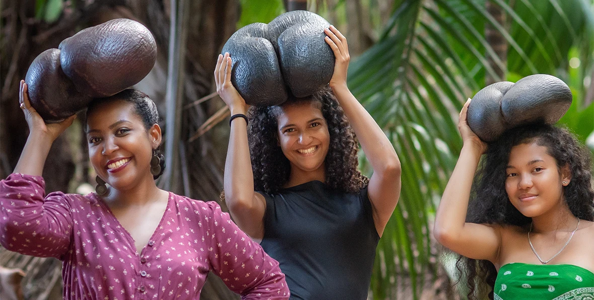 Découvrir le Coco de Mer dans la vallée de Mai