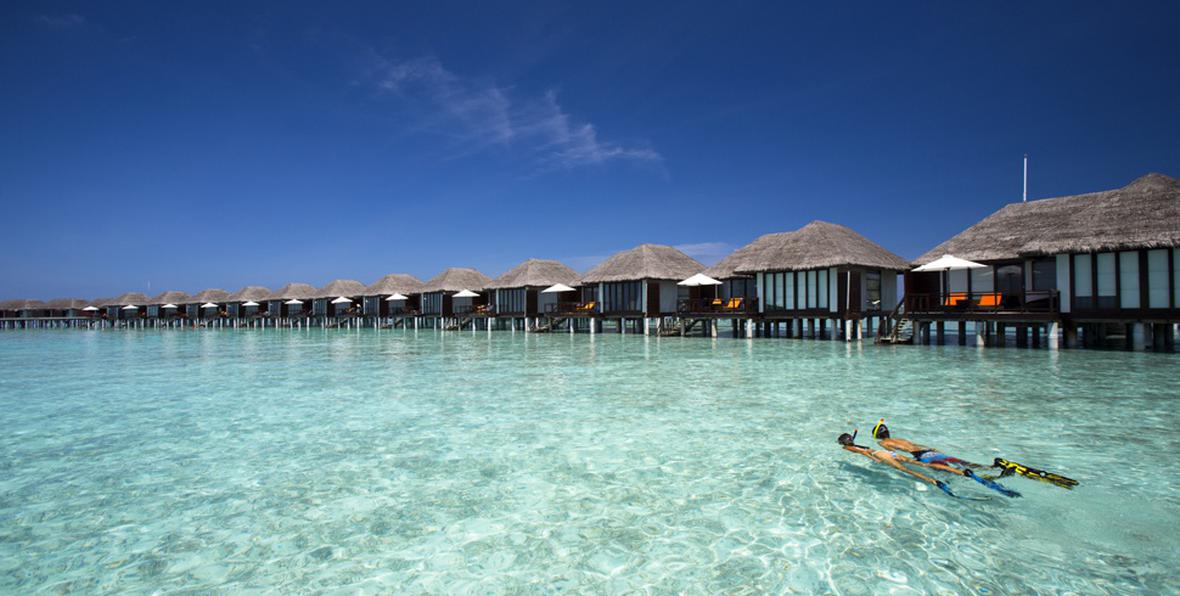 snorkleing en Velassaru Maldives