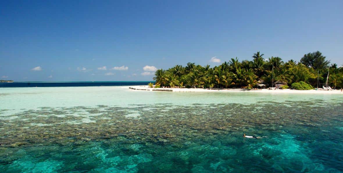 Playa y vegetación tropical en Vilamendhoo Island Resort