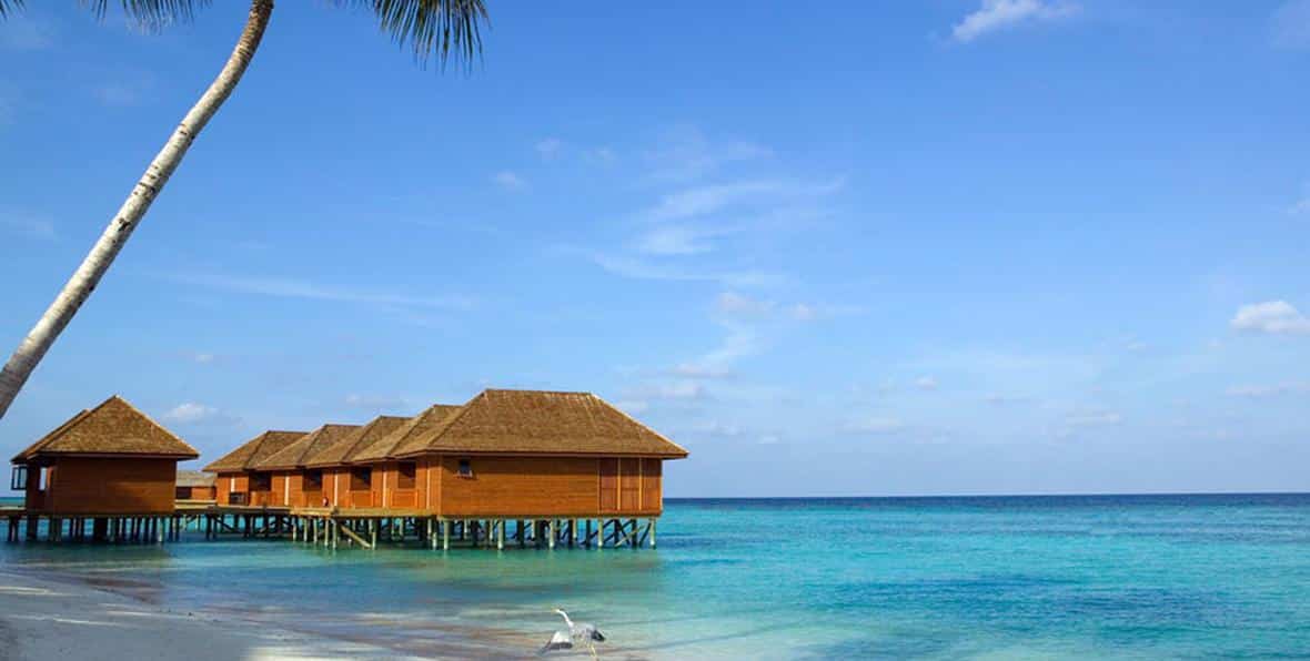 Vilamendhoo Island Resort - arenatours.com